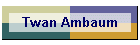 Twan Ambaum